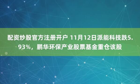 配资炒股官方注册开户 11月12日派能科技跌5.93%,鹏华环保产业股票基金重仓该股