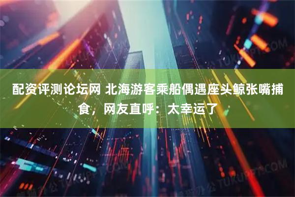 配资评测论坛网 北海游客乘船偶遇座头鲸张嘴捕食,网友直呼:太幸运了