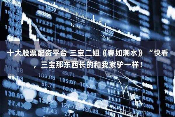 十大股票配资平台 三宝二姐《春如潮水》 “快看，三宝那东西长的和我家驴一样！