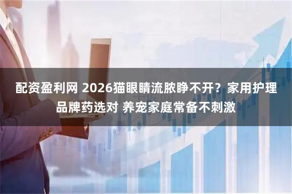 配资盈利网 2026猫眼睛流脓睁不开？家用护理品牌药选对 养宠家庭常备不刺激